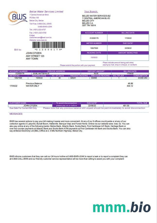 Belize Water Services Limited szablon rachunku za media w formacie Word i PDF